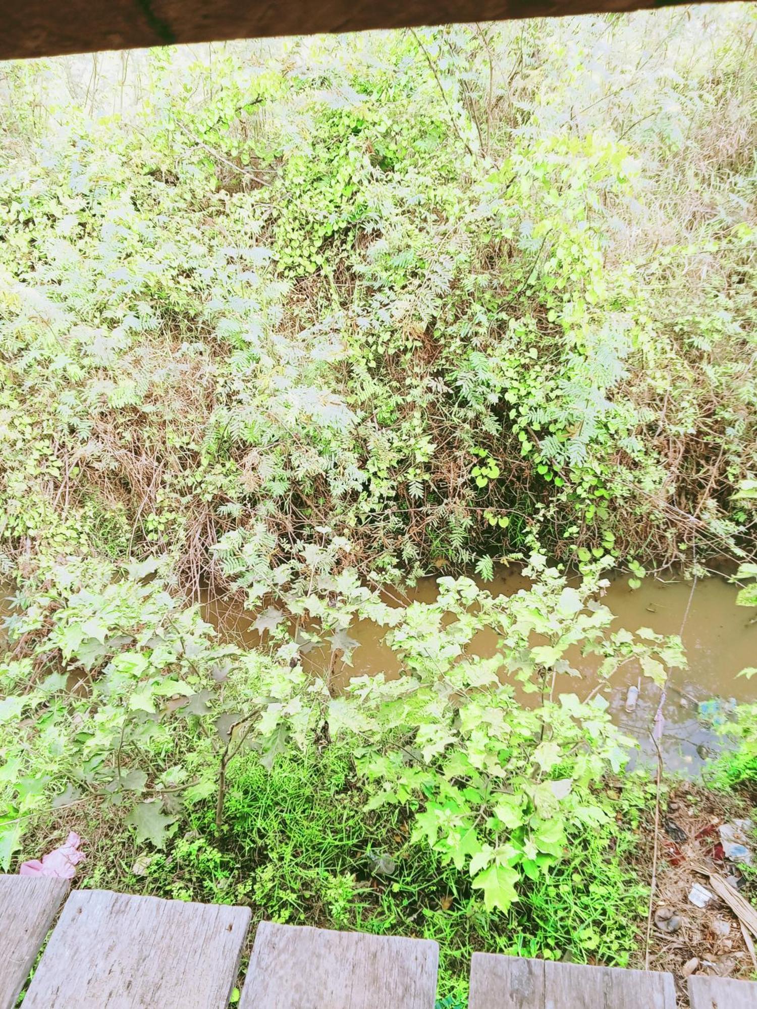 Chamkachuk Home Siem Reap Eksteriør bilde